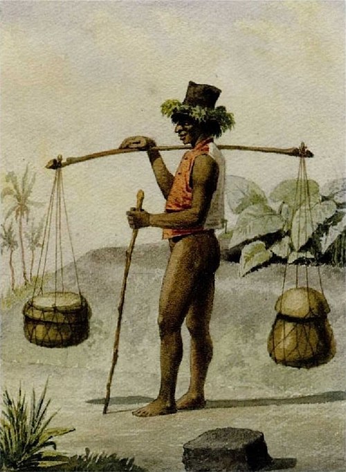 1852 Constitution of the Kingdom of Hawaii